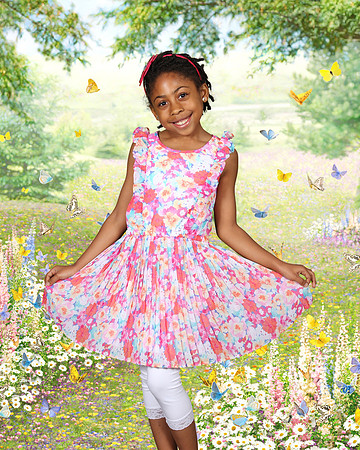 Spring Meadow and Butterfles Final